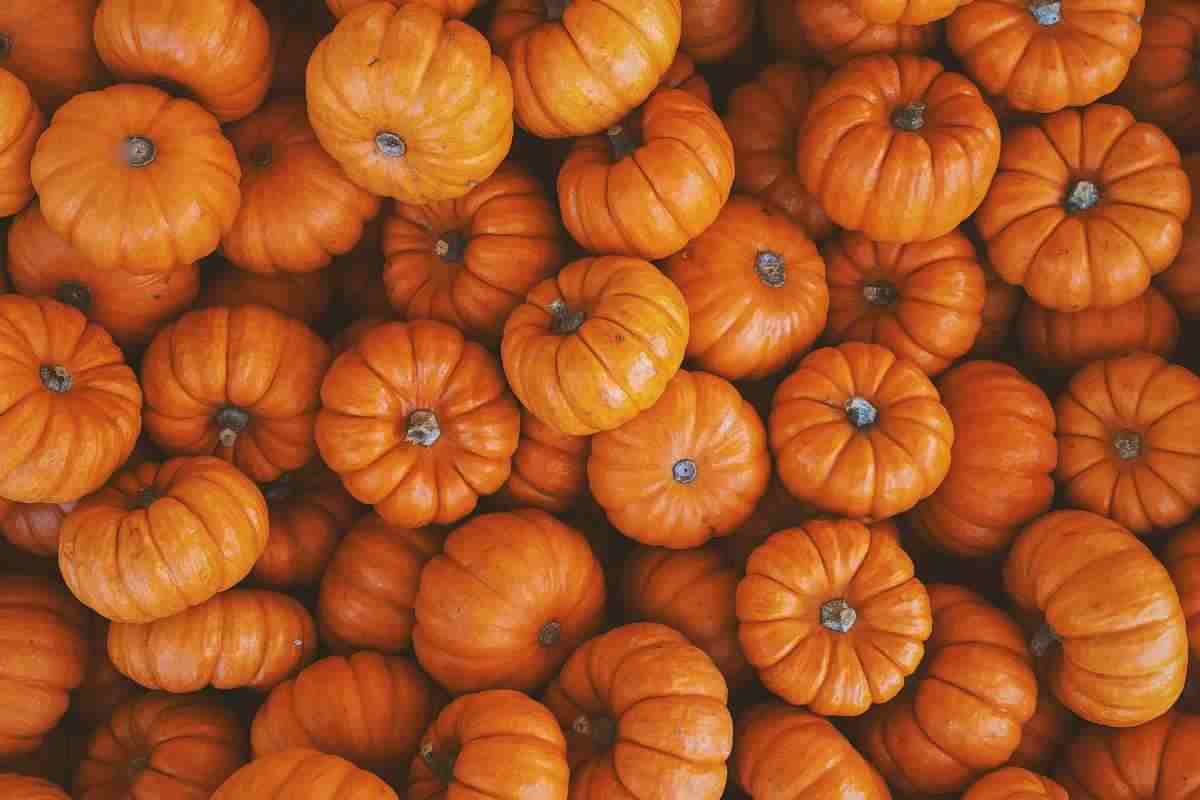 Zucca ricetta