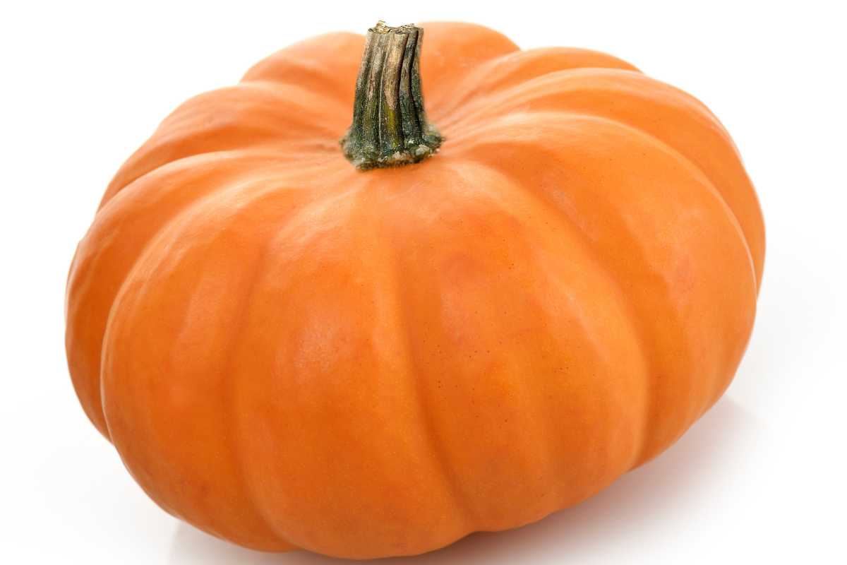 Zucca ricetta